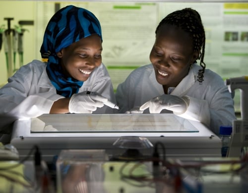 Deux femmes travaillent dans un laboratoire