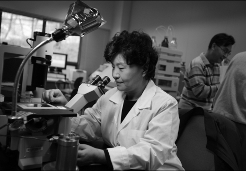 Women Laboratory Scientist Working