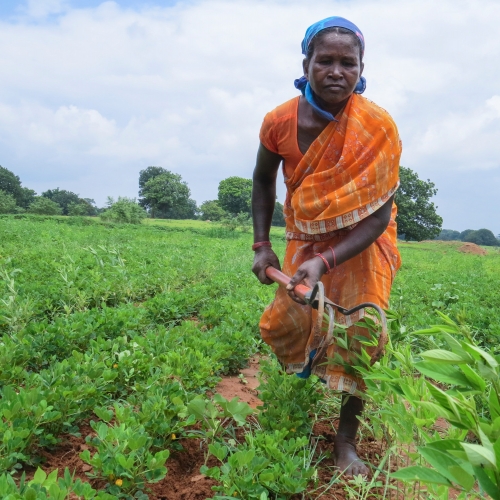 She Grows the Future, Women & Climate L'Oréal