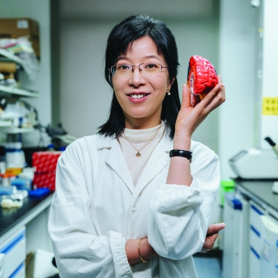 PROFESSEURE HAILAN HU